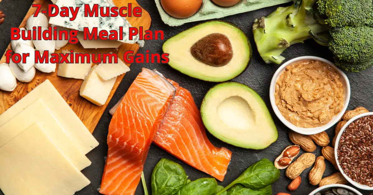 Healthy meal prep with balanced protein, carbs, and fats for a 7-day muscle building meal plan"