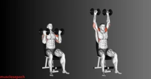 Person performing the Arnold Press with dumbbells, rotating the wrists during the overhead press.