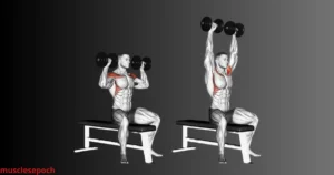 Individual performing a dumbbell shoulder press with proper form, pressing weights overhead to target the deltoid muscles.