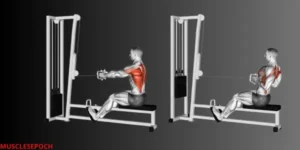 Athlete performing a seated cable row to target the mid-back muscles using a rowing machine.