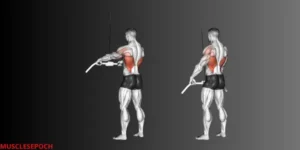 Athlete performing a straight-arm pulldown exercise using a cable machine to isolate the lats.