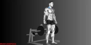 Person performing machine shrugs to target the trapezius muscles in the upper back and shoulders.