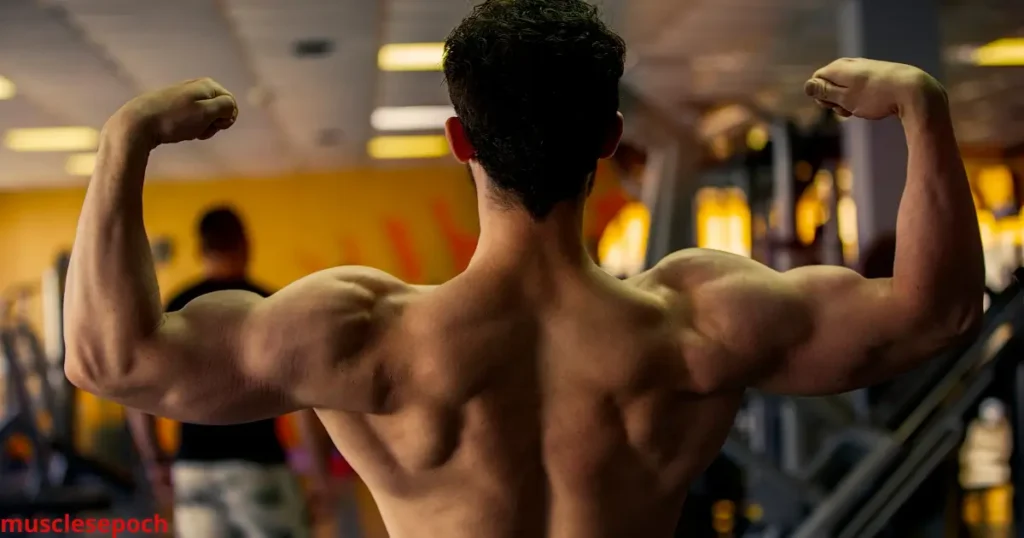 Beginner-friendly back and bicep workout routine with simple strength-building exercises.