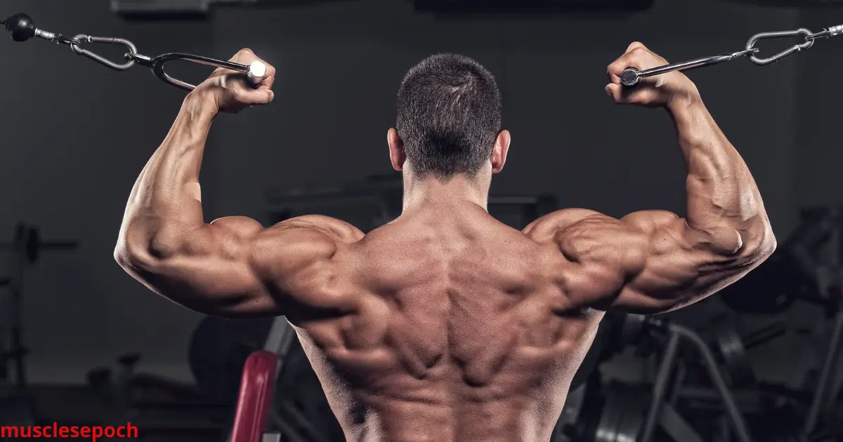 Beginner performing a cable biceps curl at the gym using a low pulley machine with controlled form and moderate resistance.