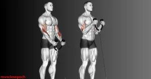 Person performing cable rope hammer curls using a rope attachment on a low pulley machine to target the biceps and forearms.