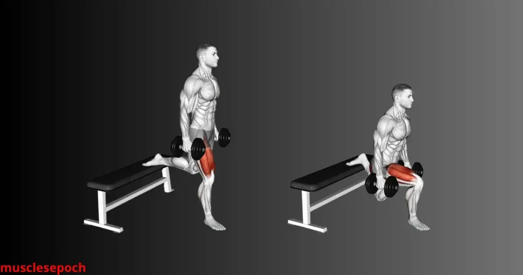 Person performing a Bulgarian split squat with dumbbells, back foot elevated on a bench and front knee bent at 90 degrees.