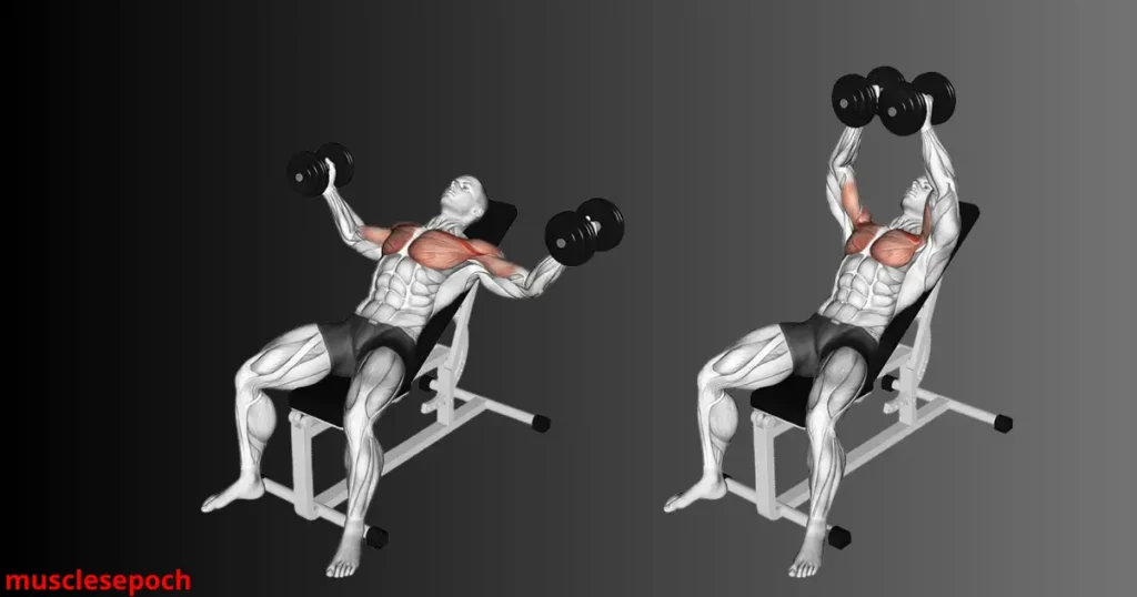 dumbbell incline fly on an adjustable bench, focusing on upper chest stretch and contraction.