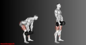 Person performing a dumbbell Romanian deadlift with a flat back, slight knee bend, and dumbbells tracking close to the legs to target the hamstrings and lower back.