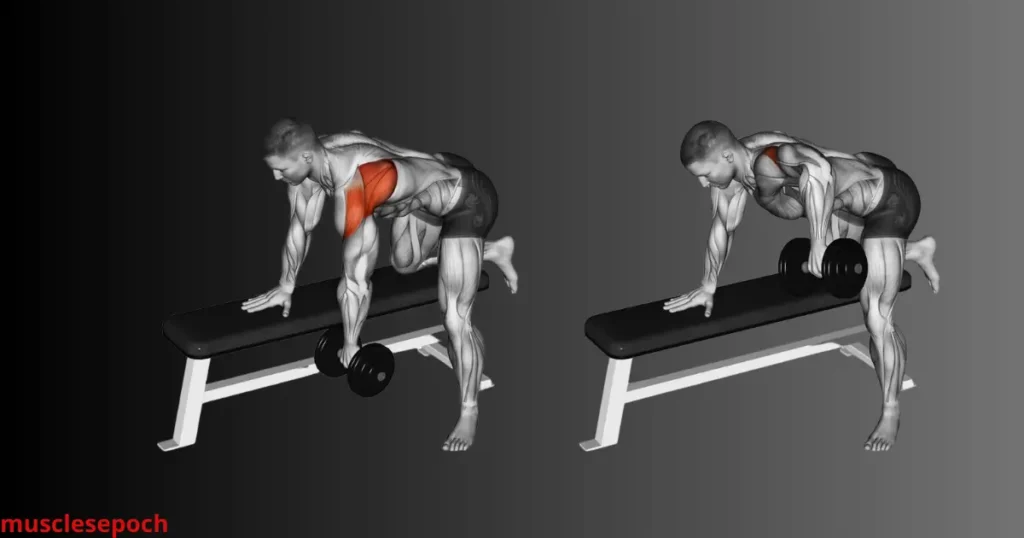 Beginner performing a dumbbell row with proper form, focusing on back muscles.