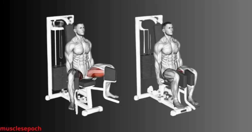 A close-up view of a hip adduction machine in a gym, designed for inner thigh strengthening exercises.