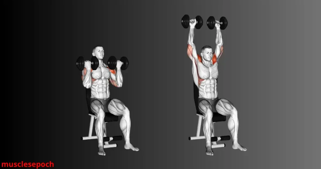 Step-by-step illustration of proper Arnold Press form, showing start, rotation, and overhead press positions for shoulder growth.