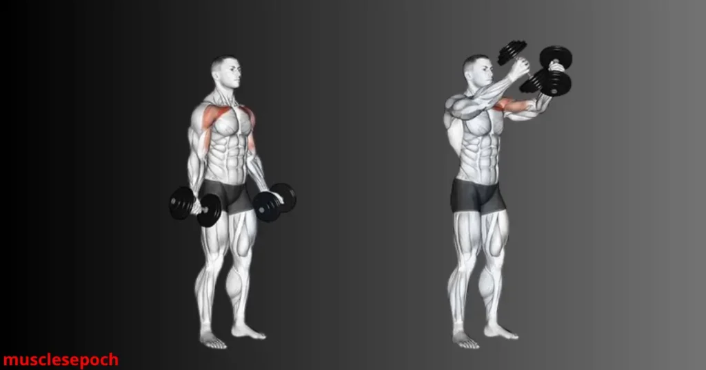 Man performing low-to-high dumbbell chest raise, lifting weights from waist level upward to target upper chest.