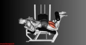 Person performing lying hamstring curl exercise on a machine targeting hamstring muscles