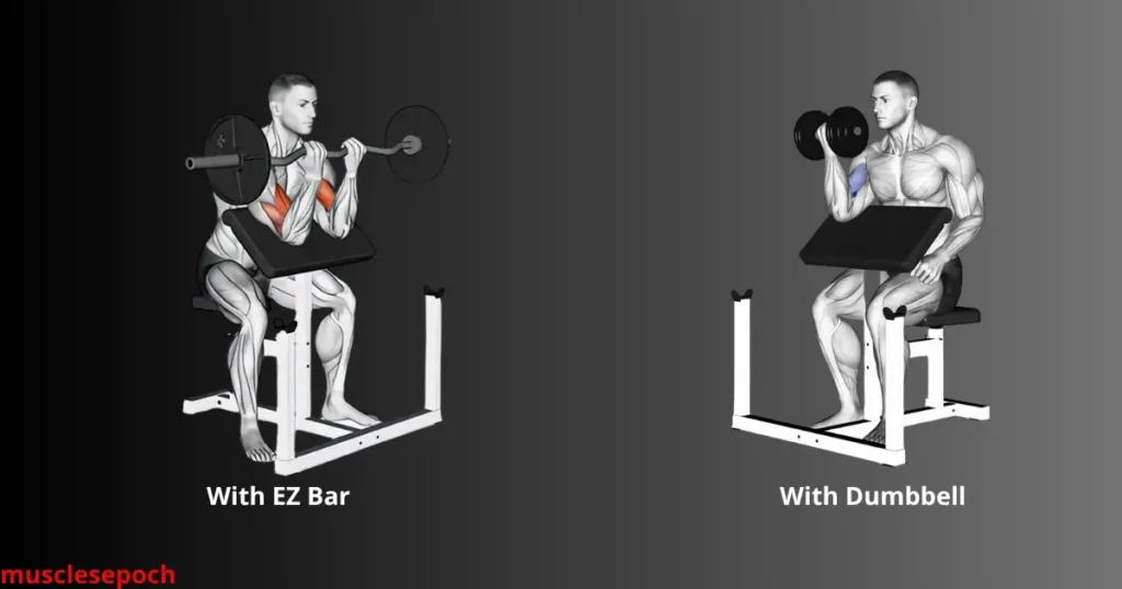 Athlete performing preacher curls on a bench using an EZ bar to isolate the short head of the biceps.