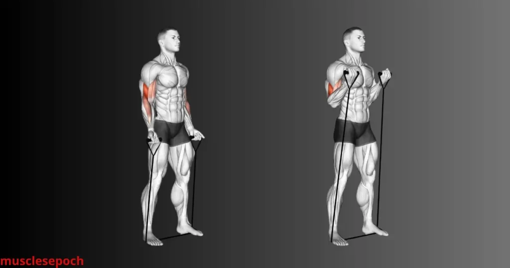 Beginner doing resistance band bicep curls for arm strength at home.