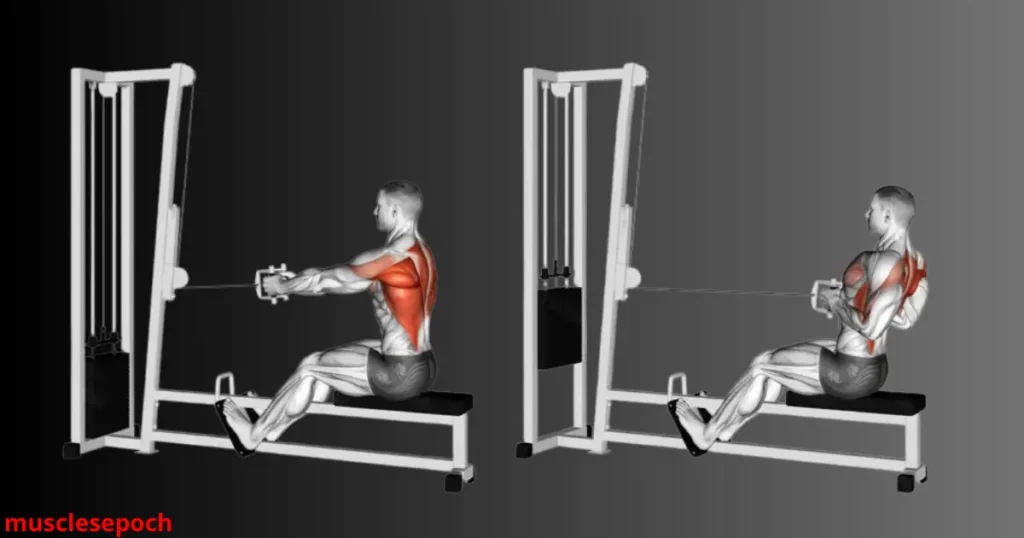 Person performing a seated cable row to target mid-back and lat muscles using a low pulley machine.