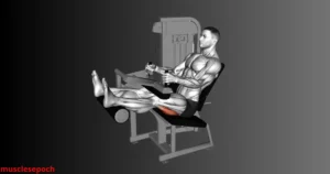 Person performing a seated hamstring curl exercise on a workout machine targeting the hamstring muscles