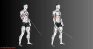 Individual performing single-arm cable curls using a D-handle on a low pulley to isolate and strengthen one bicep at a time.