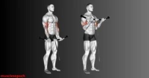 Person performing standing cable biceps curls using a low pulley machine, emphasizing controlled movement and biceps engagement.